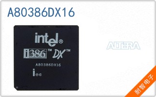 A80386DX16