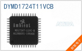 DYMD1724T11VCB��ͼƬ
