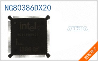 NG80386DX20