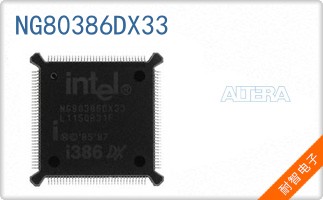 NG80386DX33