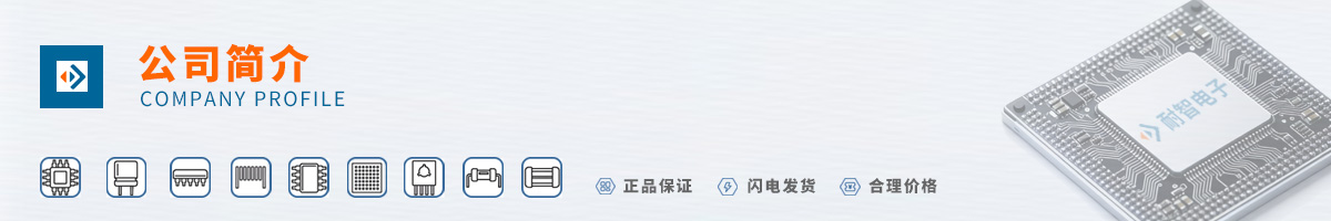 Altera(��������)��˾����