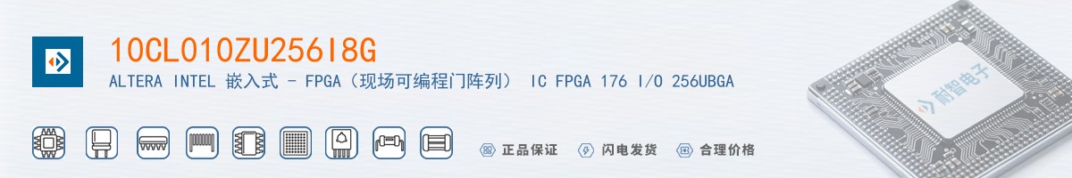 10CL010ZU256I8G������