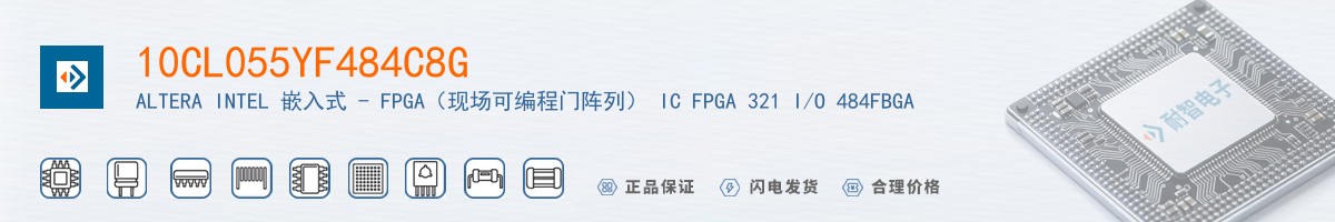 10CL055YF484C8G������