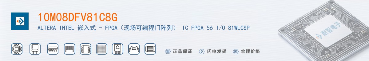 10M08DFV81C8G������