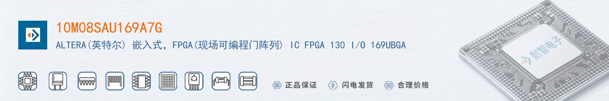 10M08SAU169A7G������