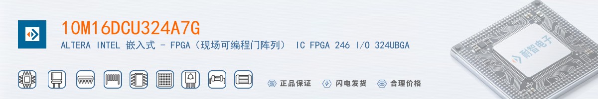 10M16DCU324A7G������