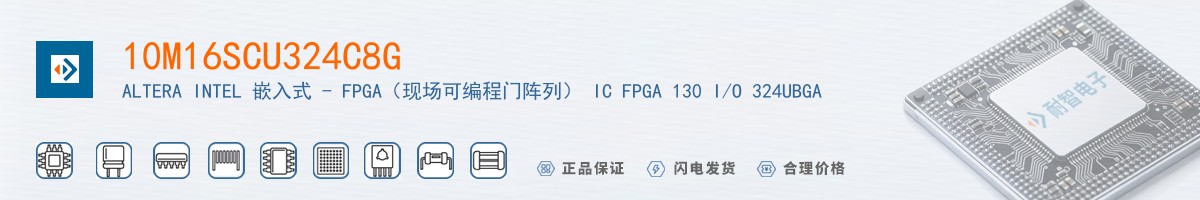 10M16SCU324C8G������