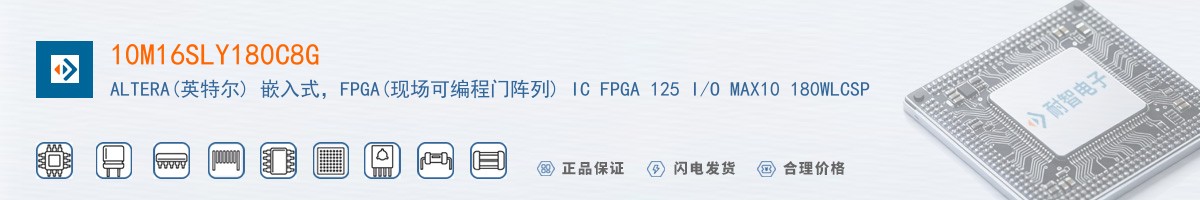 10M16SLY180C8G������