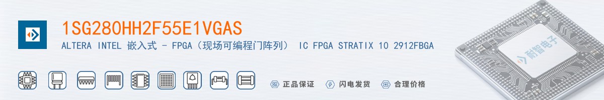 1SG280HH2F55E1VGAS������