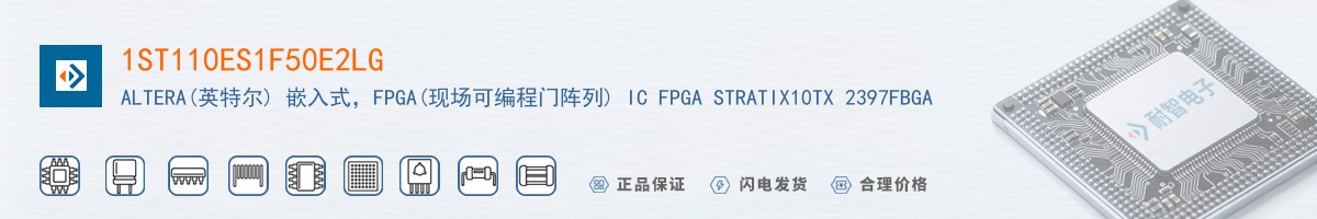 1ST110ES1F50E2LG������