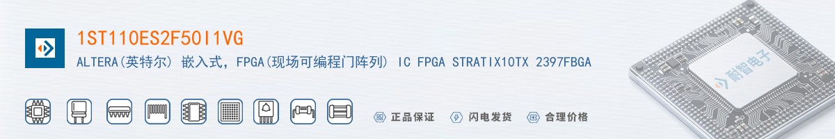 1ST110ES2F50I1VG������