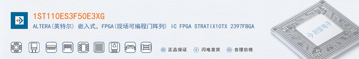 1ST110ES3F50E3XG������