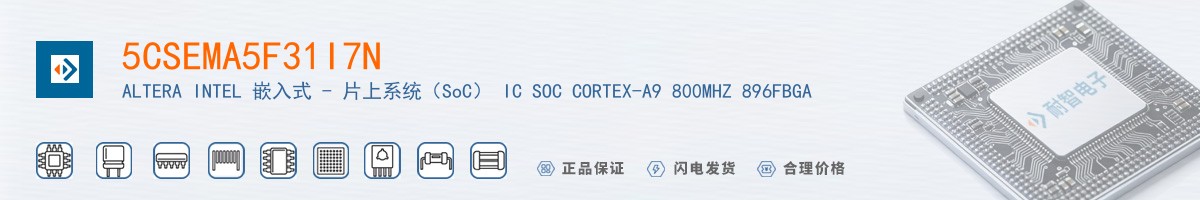 5CSEMA5F31I7N������