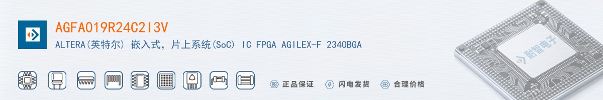 AGFA019R24C2I3V������