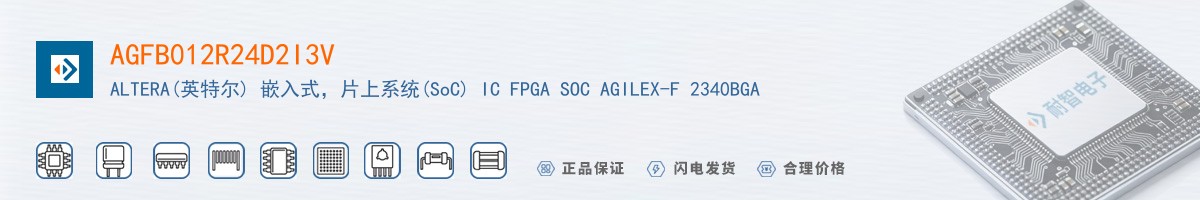 AGFB012R24D2I3V������