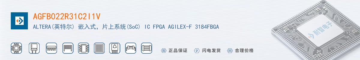 AGFB022R31C2I1V������