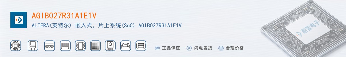 AGIB027R31A1E1V������