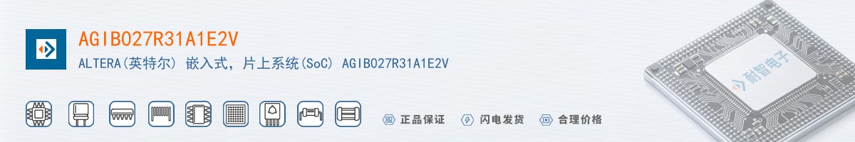 AGIB027R31A1E2V������