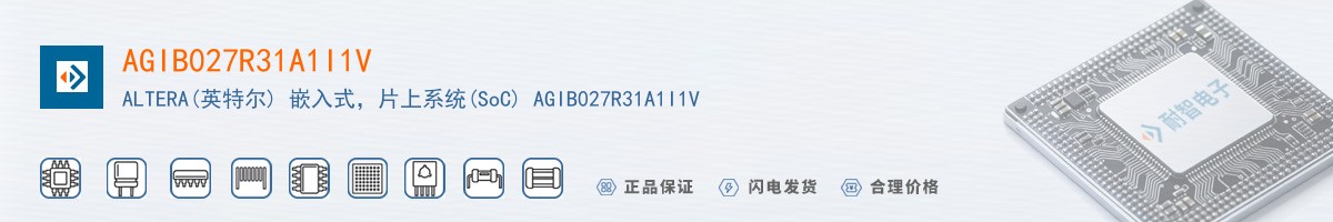 AGIB027R31A1I1V������