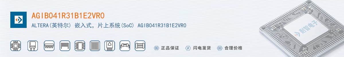 AGIB041R31B1E2VR0������