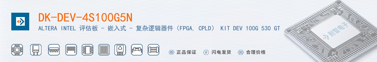 DK-DEV-4S100G5N������