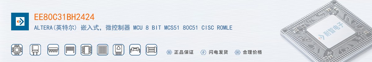 EE80C31BH2424������