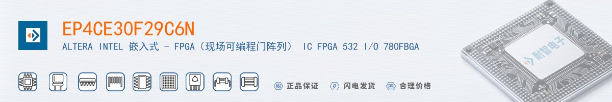 EP4CE30F29C6N������