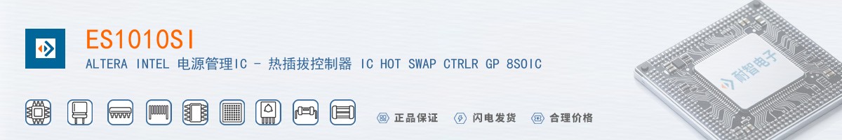 ES1010SI������