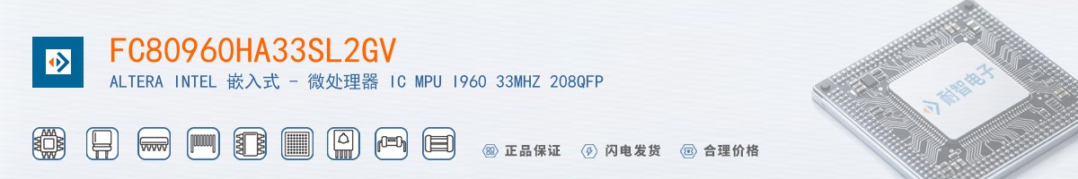 FC80960HA33SL2GV������