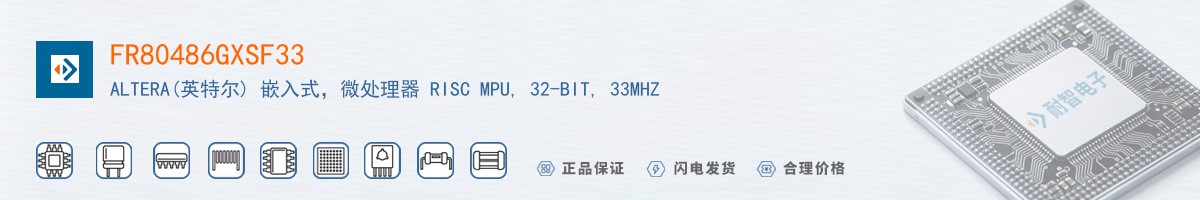 FR80486GXSF33������